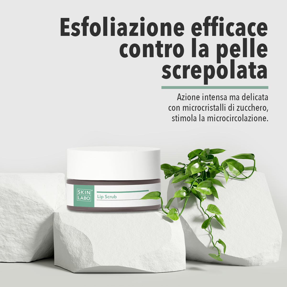 SCRUB PENTRU BUZE